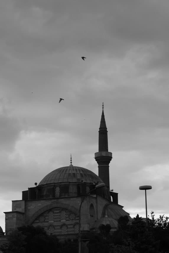 Elif A. — çalışma 2