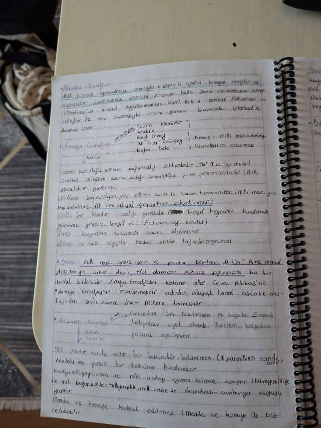 Elif A. — çalışma 2