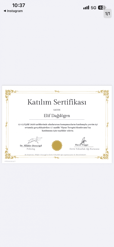 Elif D. — çalışma 5