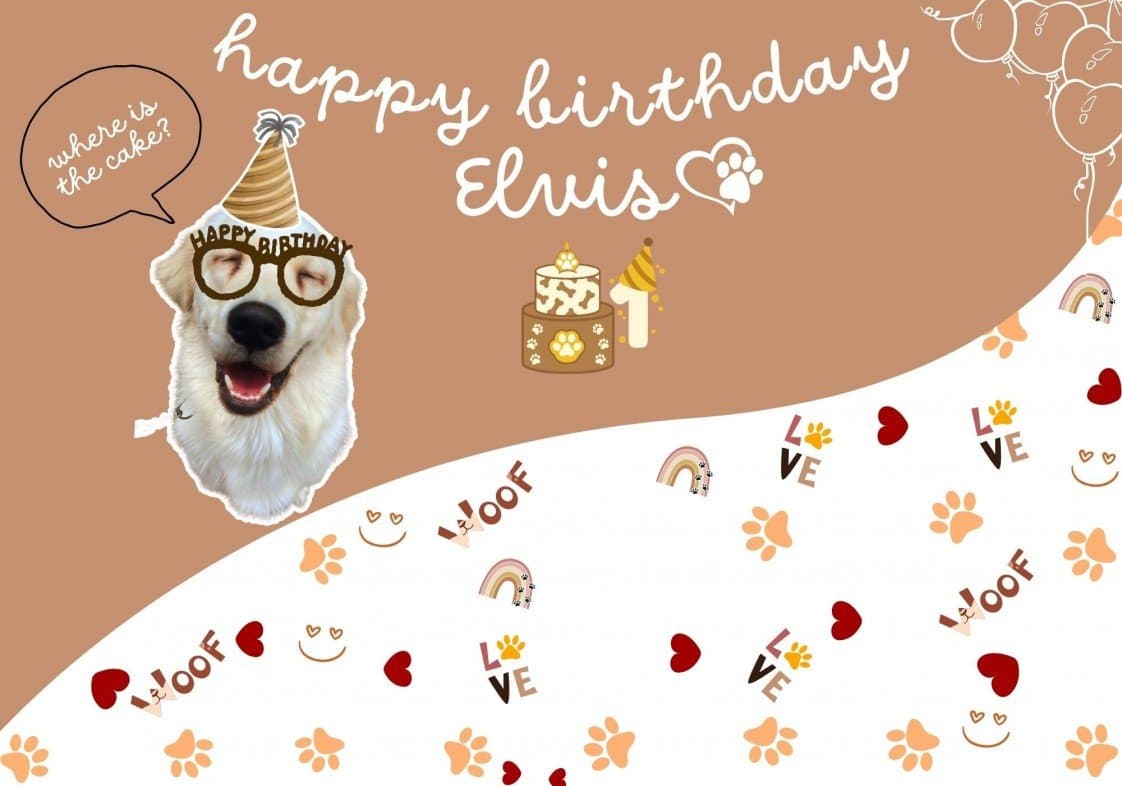 Elif S. — çalışma 1