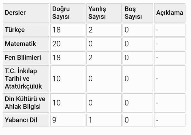 Emil Ş. — çalışma 2
