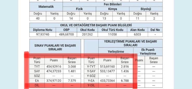 Emil Ş. — çalışma 3