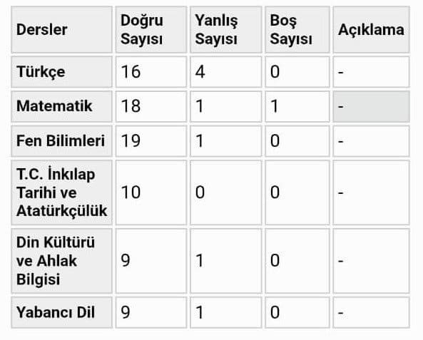 Emil Ş. — çalışma 5