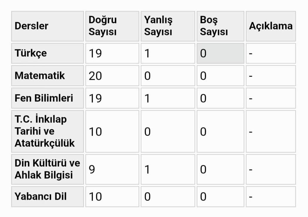 Emil Ş. — çalışma 6