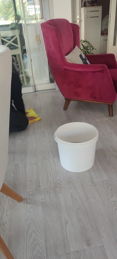 Emine A. — çalışma 1