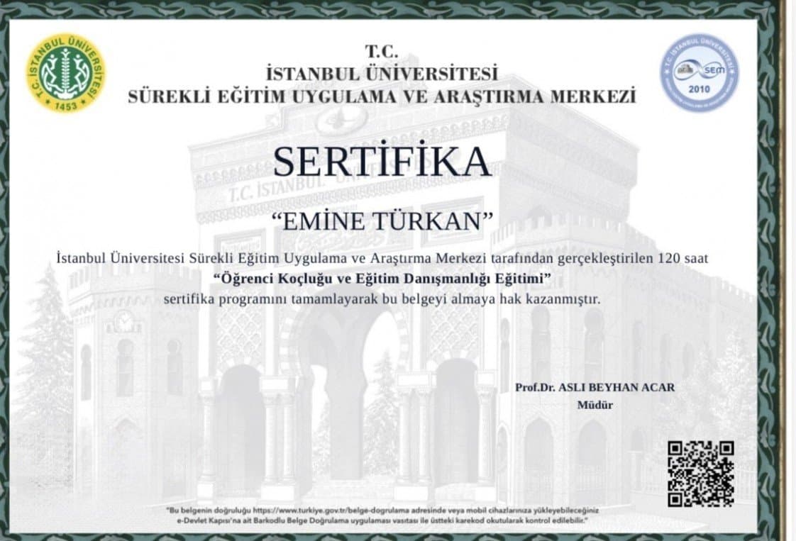 Emine T. — çalışma 5