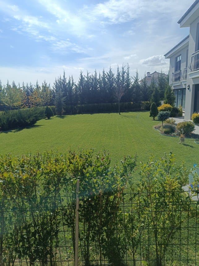 Emrah K. — çalışma 3