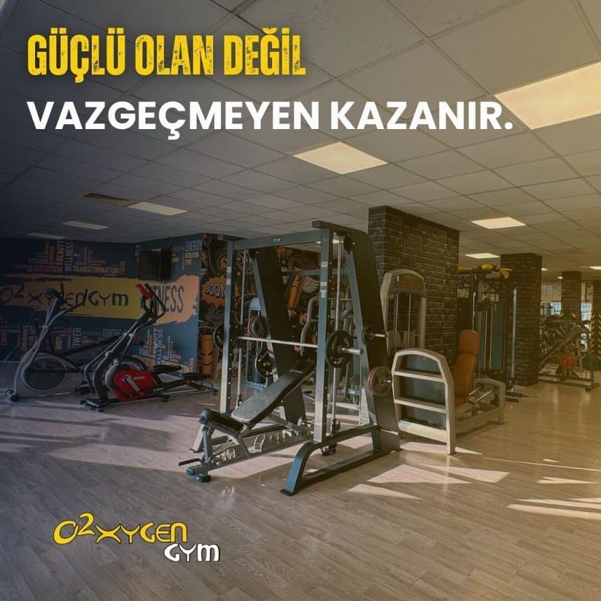 Enes H. — çalışma 8