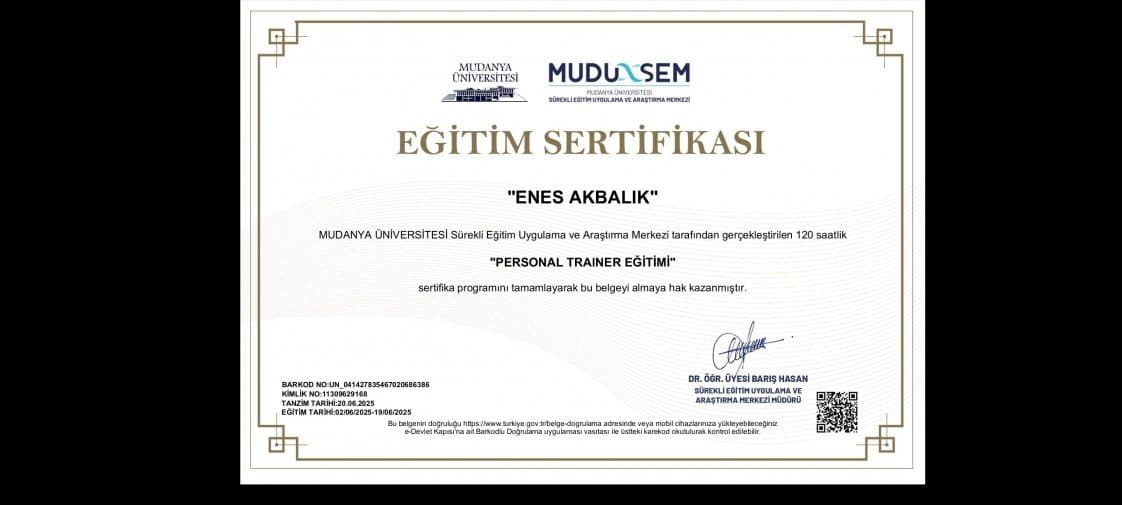 Enes H. — çalışma 2