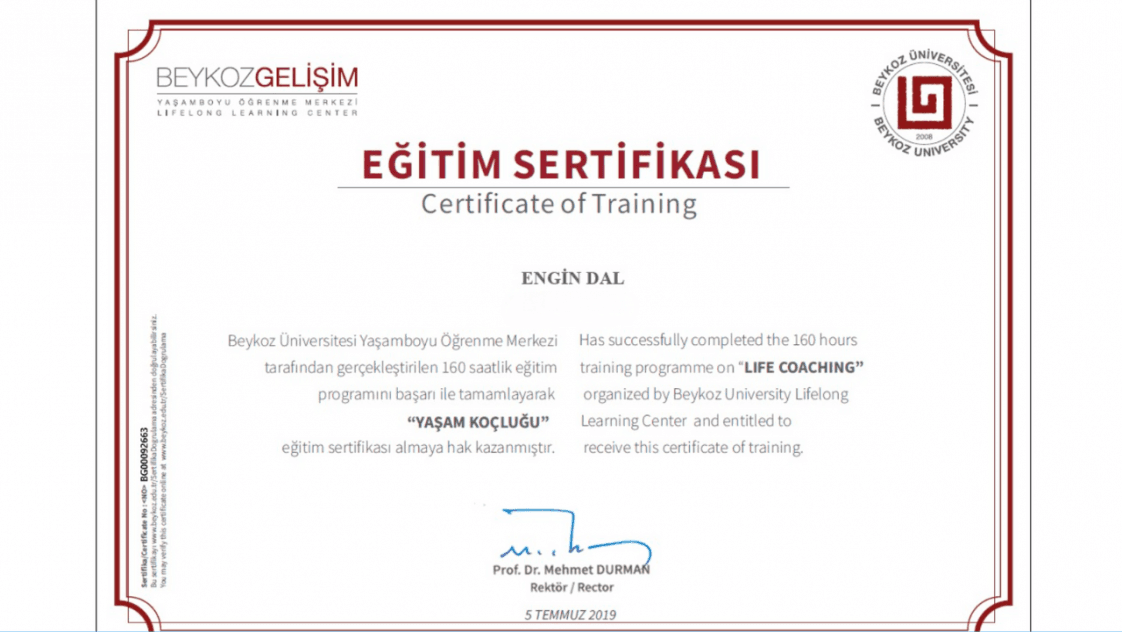 Engin D. — çalışma 6