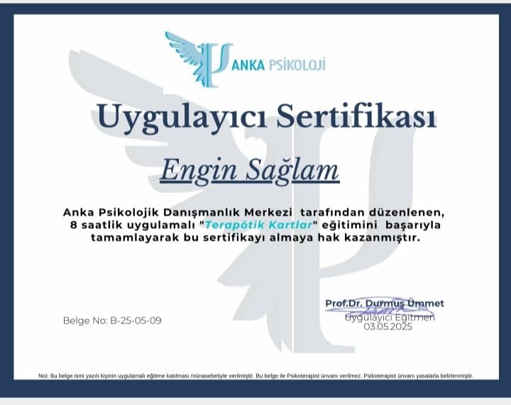 Engin S. — çalışma 1