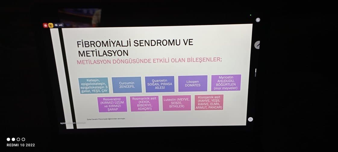Esra S. — çalışma 3