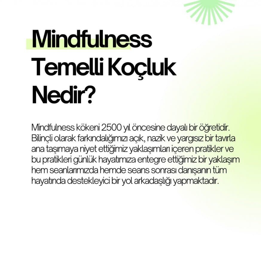 Evrim A. — çalışma 2