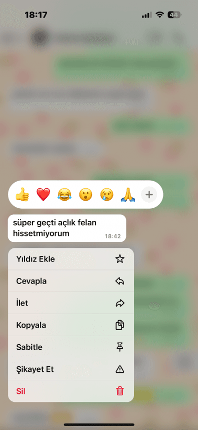 Ezgi K. — çalışma 4