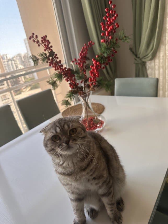 Ezgi K. — çalışma 2