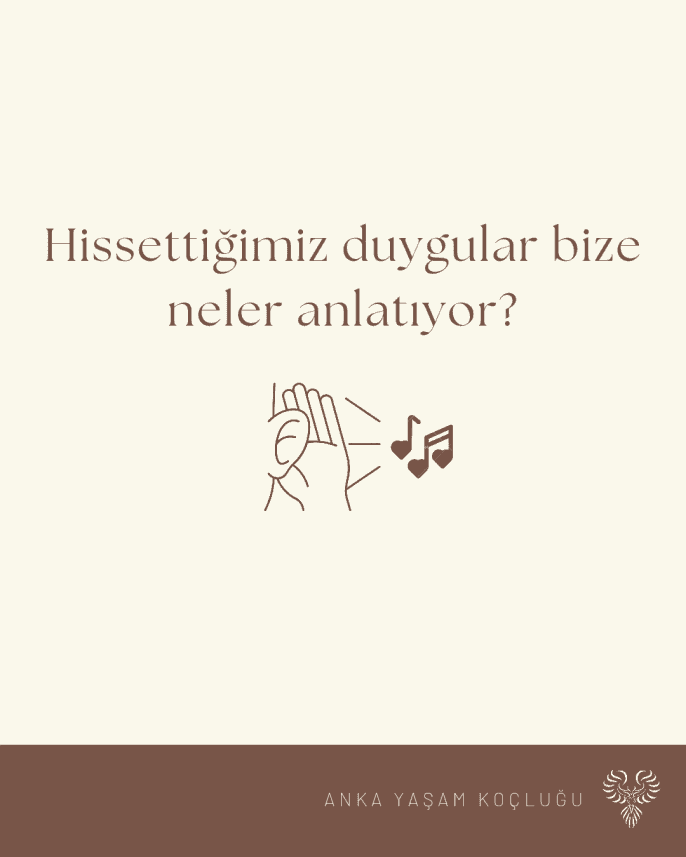 Ezgi Y. — çalışma 1