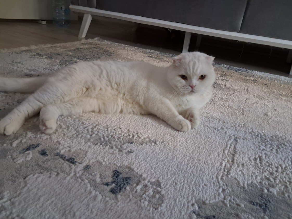 Fahriye B. — çalışma 5