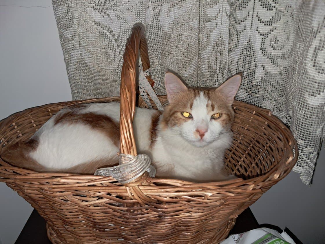 Fahriye B. — çalışma 6