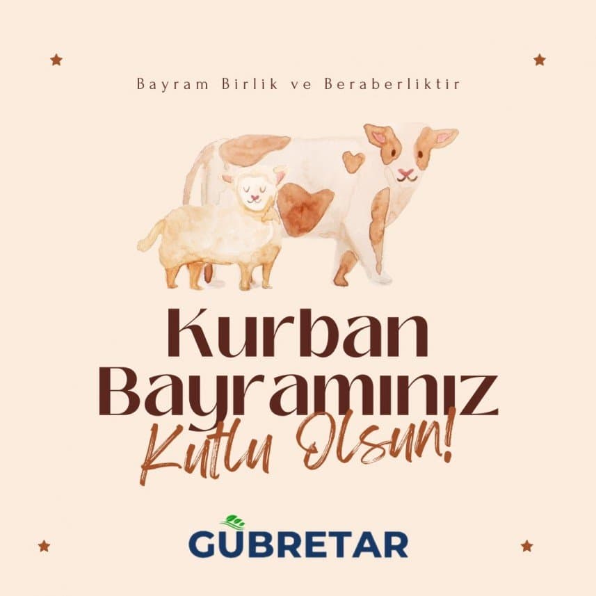Fatihan Y. — çalışma 4