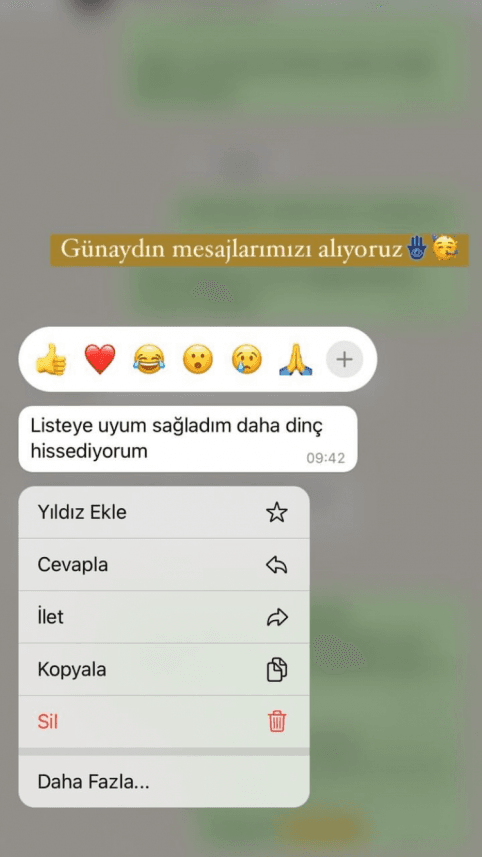 Fatma Ö. — çalışma 4