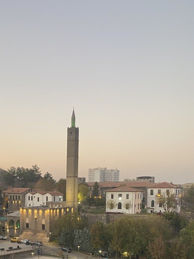 Fatma Ş. — çalışma 1