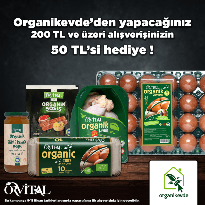 Fehmi Ü. — çalışma 2