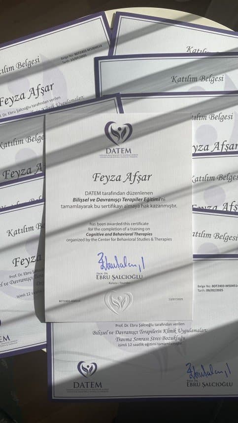 Feyza A. — çalışma 3