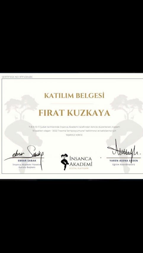 Fırat K. — çalışma 4