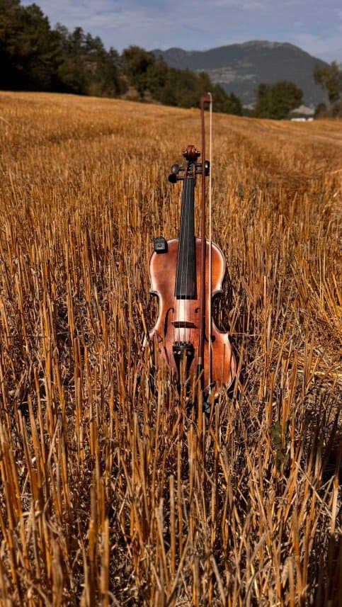 Furkan K. — çalışma 3