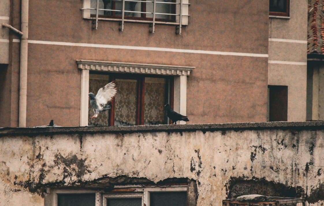Furkan S. — çalışma 3