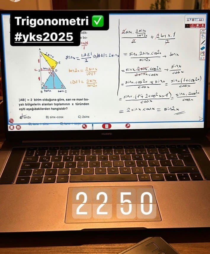 Gamze A. — çalışma 5