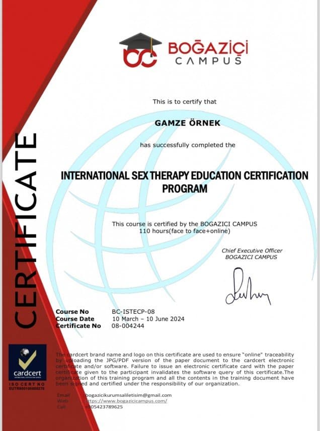 Gamze Ö. — çalışma 6