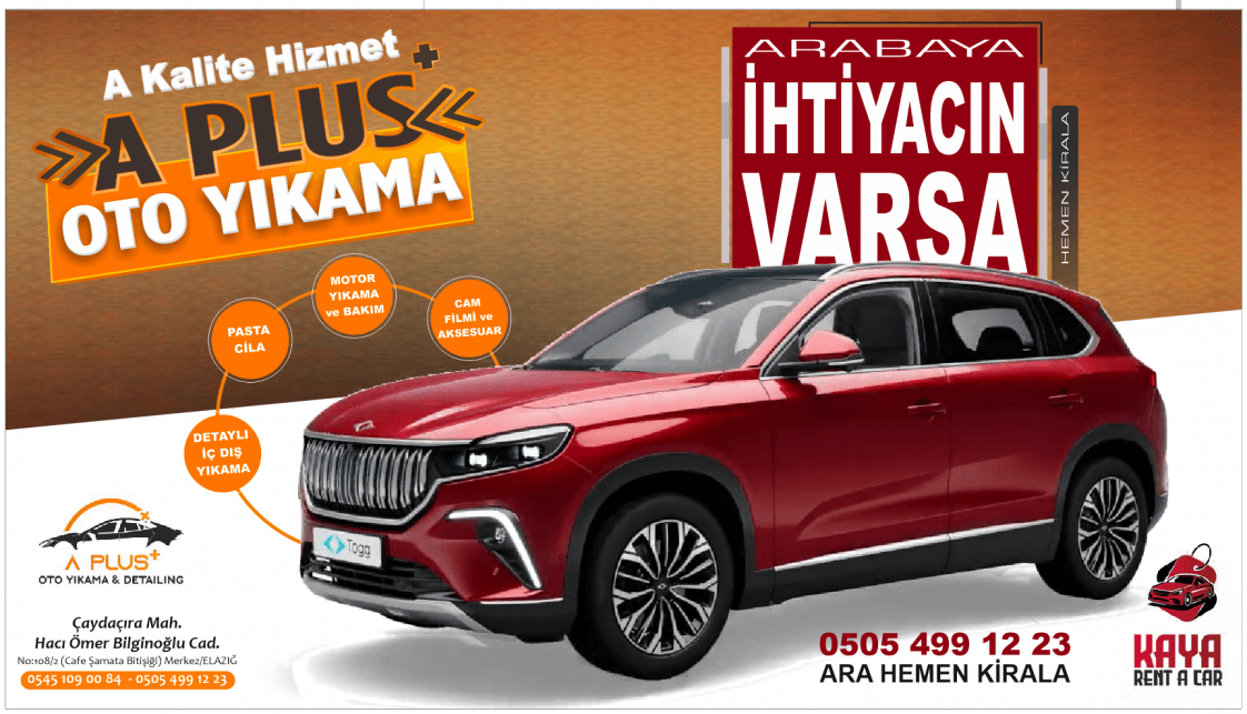 Gamze Ö. — çalışma 2