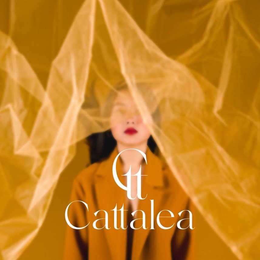 Gökçe G. — çalışma 2