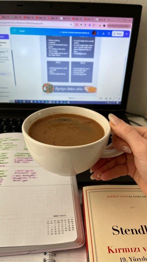 Gökçen Ş. — çalışma 2