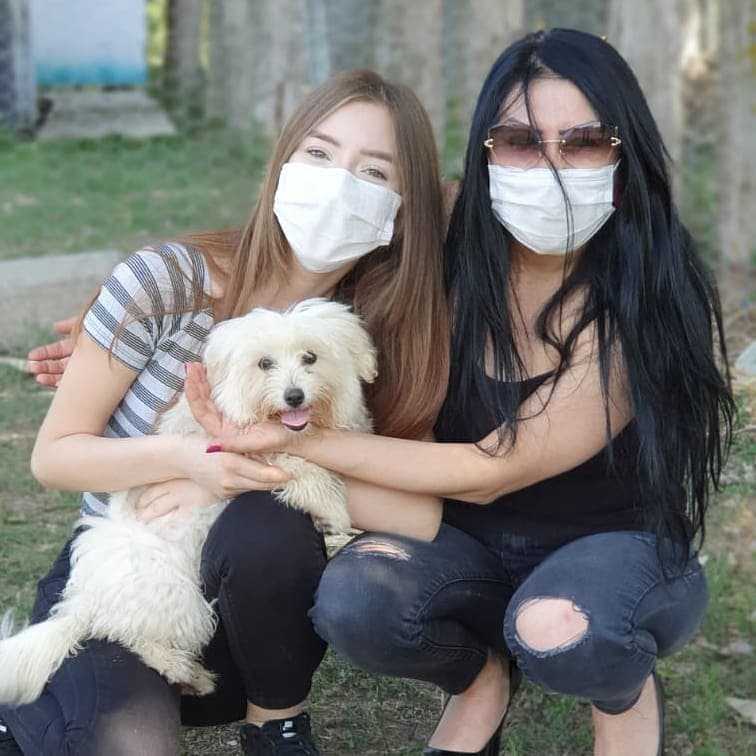 K9 S. — çalışma 2