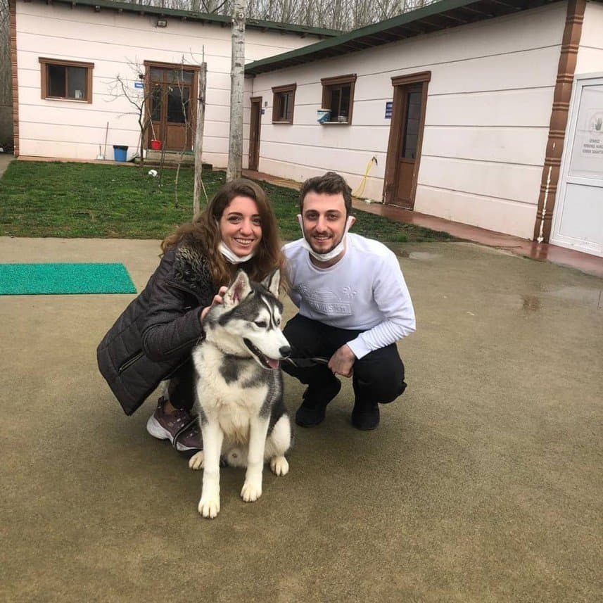 K9 S. — çalışma 8