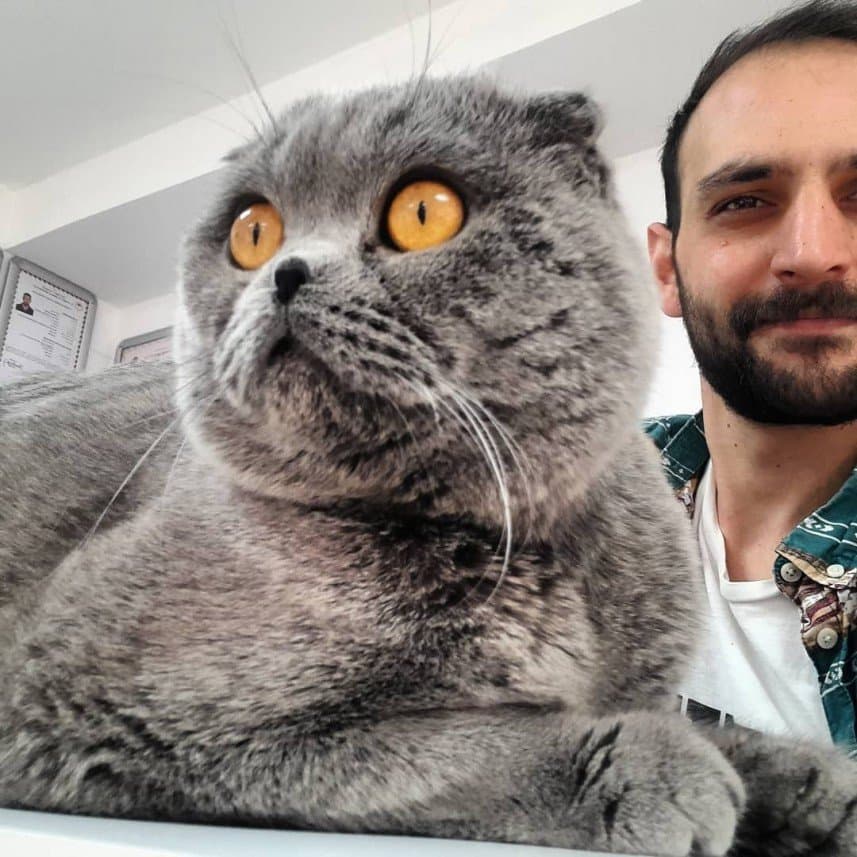 Gökhan U. — çalışma 4