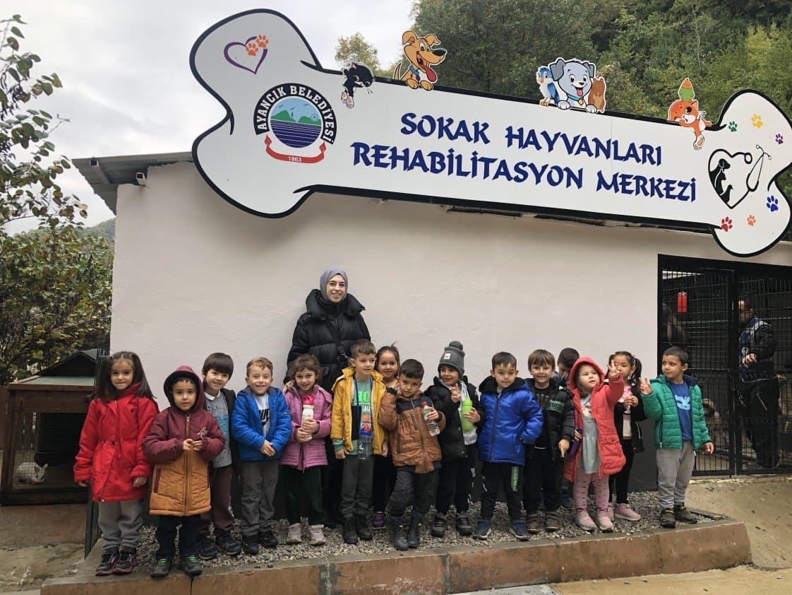 Gözdenur T. — çalışma 6