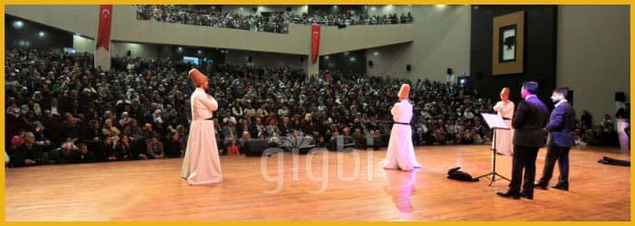Grup S. — çalışma 1