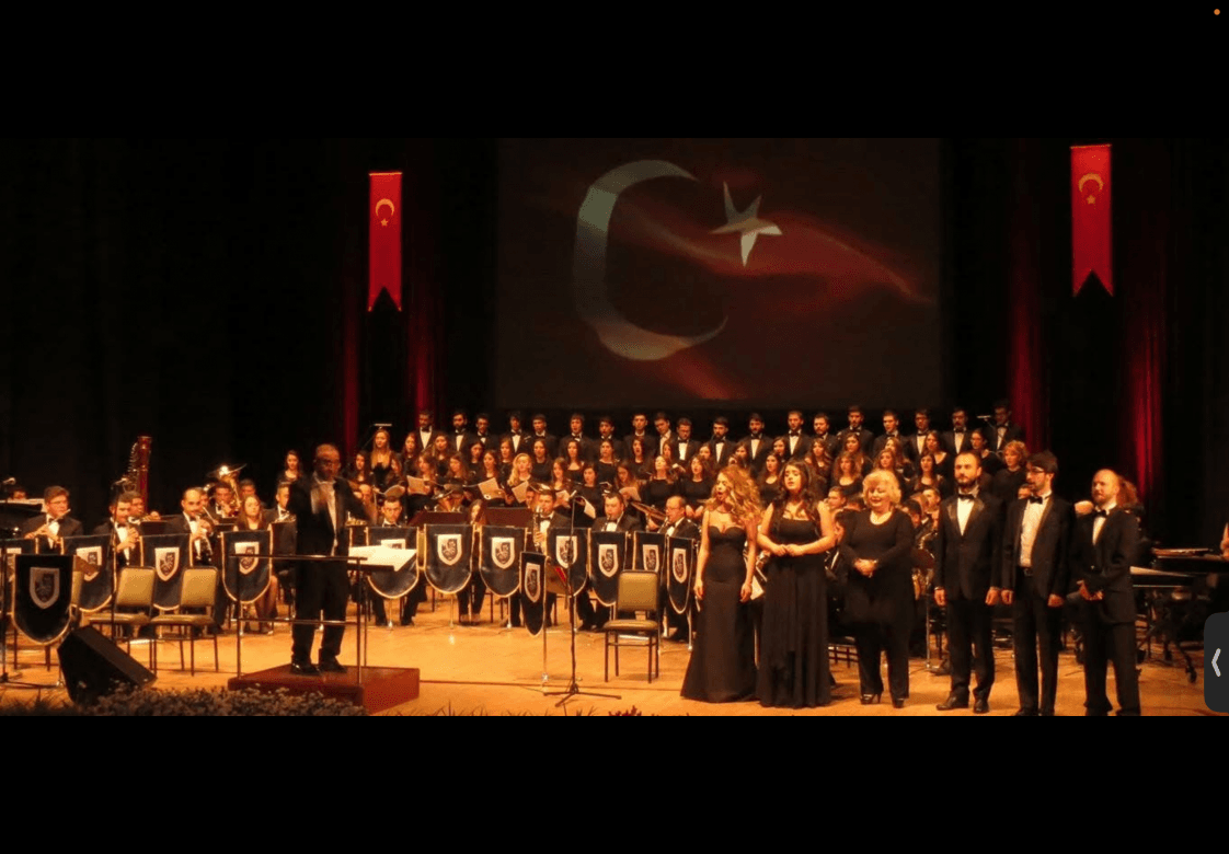 Gülin Ş. — çalışma 2