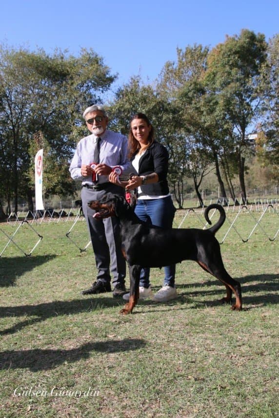 Gülsen G. — çalışma 5