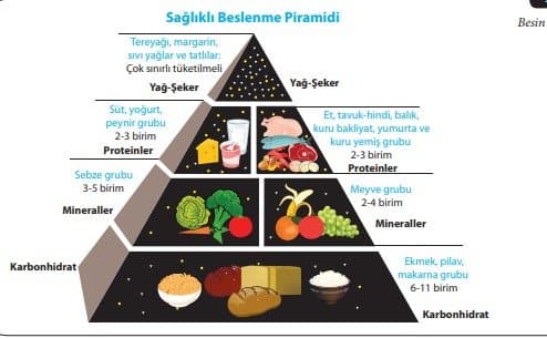 Güneş Ş. — çalışma 1