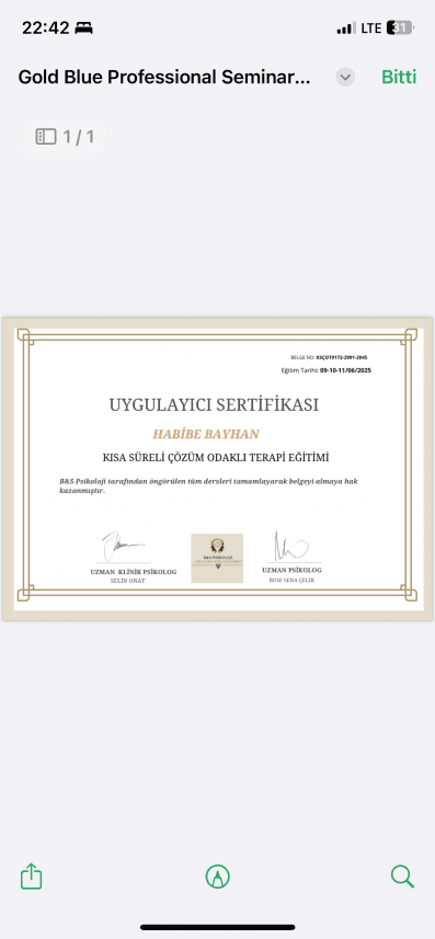 Habibe B. — çalışma 5