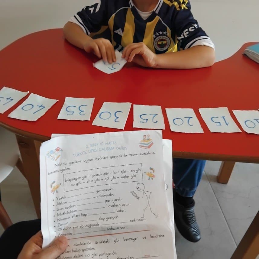 Hacer Ç. — çalışma 1