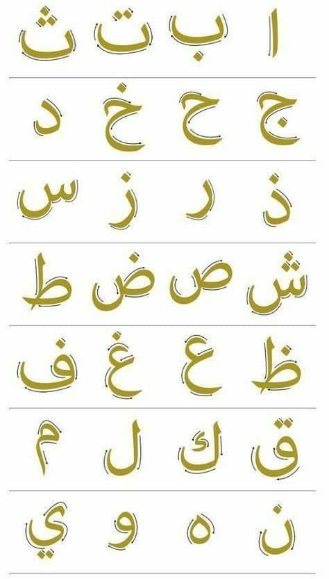 Halime Ş. — çalışma 4