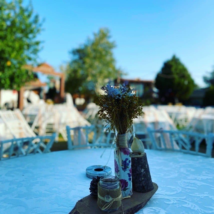 Hanzade B. — çalışma 8