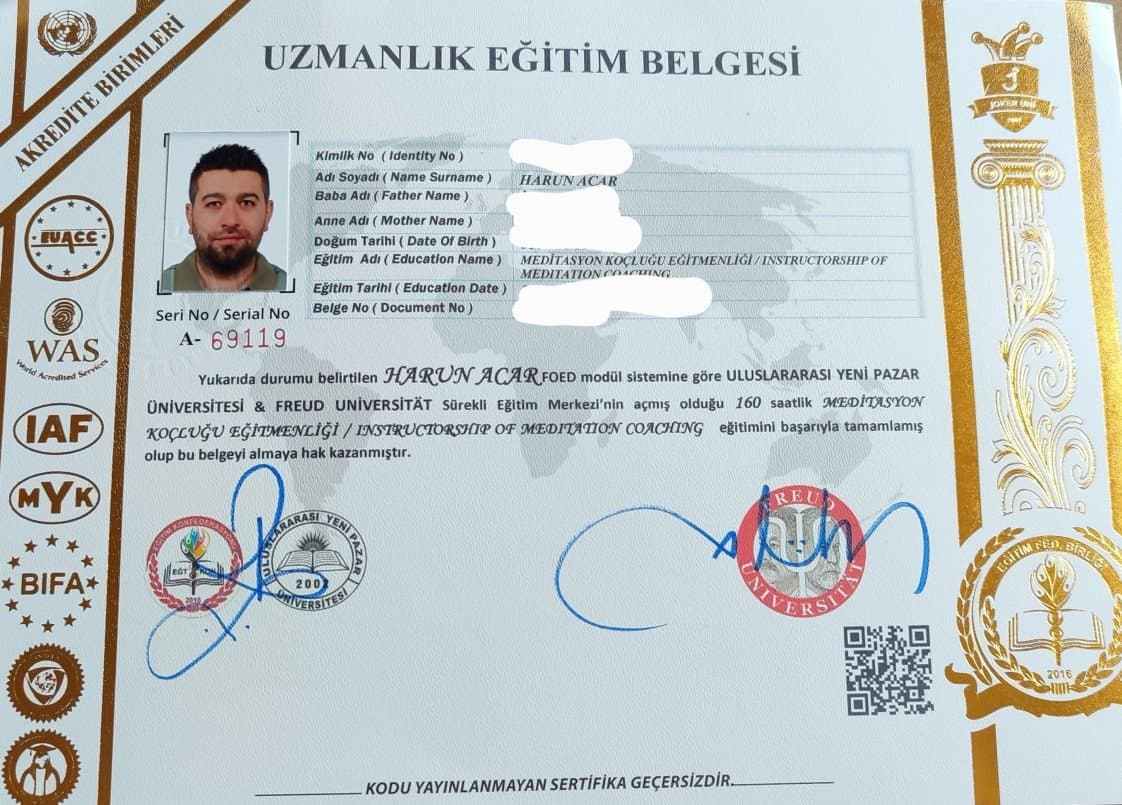 Harun A. — çalışma 1