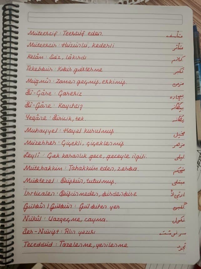 Hasan Ö. — çalışma 3