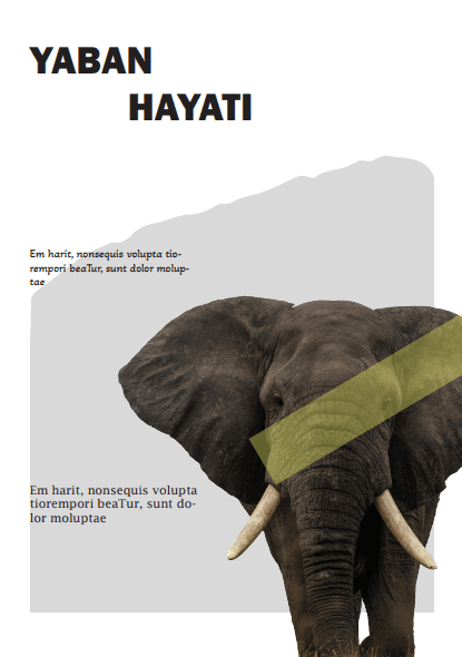 Hayme K. — çalışma 3